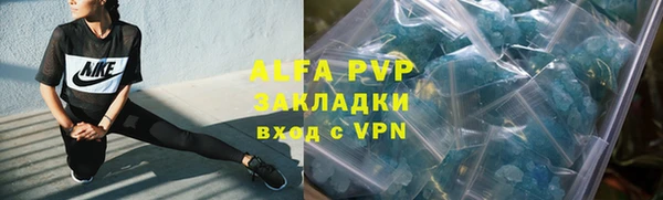стафф Вязьма
