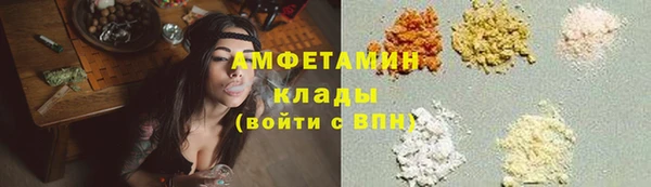стафф Вязьма