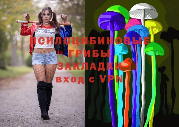 стафф Вязьма