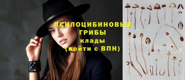 таблы Вяземский