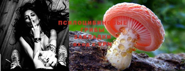 таблы Вяземский