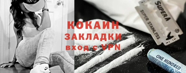 стафф Вязьма