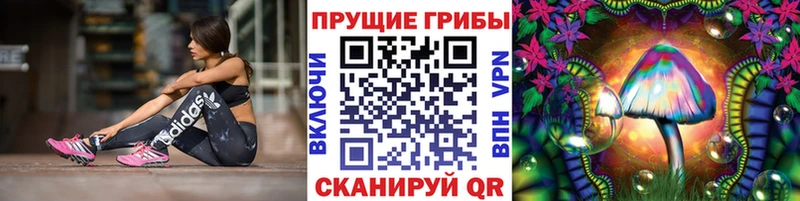 Галлюциногенные грибы MAGIC MUSHROOMS  Купить закладки  Тобольск 